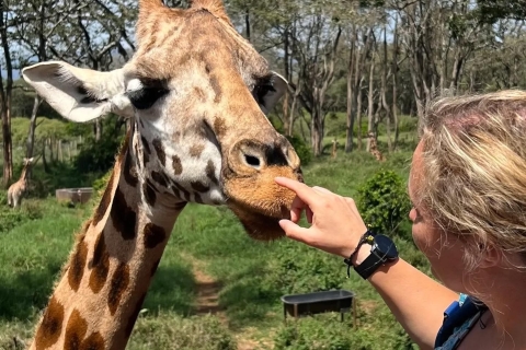 Park Narodowy Nairobi i wycieczka do centrum żyraf