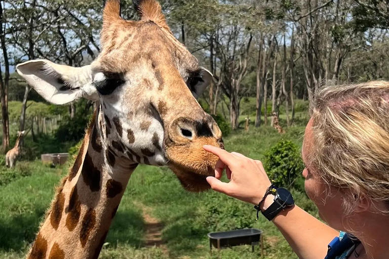 Dagsutflykt till Giraffcentret och Karen Blixen-museet