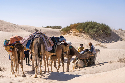 Deux jours et une nuit dans un campement, Ksar Ghilane de Djerba