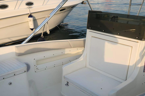 Doha: All Inclusive Guided Fishing Trip Doha: All Inclusive Guided Fishing Trip (1 to 7 people)