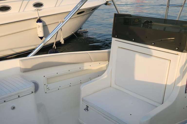 Doha: All Inclusive Guided Fishing Trip Doha: All Inclusive Guided Fishing Trip (1 to 7 people)