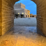 Almería: Alcazaba Guided Tour