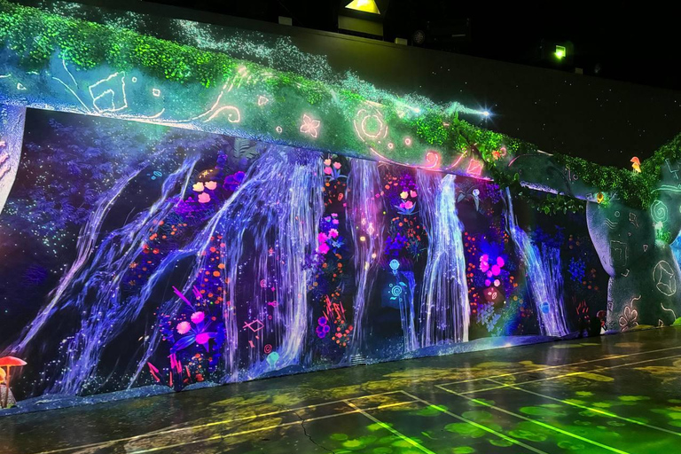 Desde Seúl: Excursión de 2 días a la Anchoa de Tongyeong