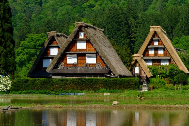 Nagoya: Shirakawa-go, Takayama & Snow Wall 2-Day Tour 1 person 1 room