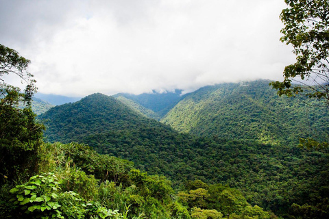 COSTA RICA:UPPTÄCK COSTARICAS VILDA DJUR-STRAND &amp; SKOG 2VECKOR