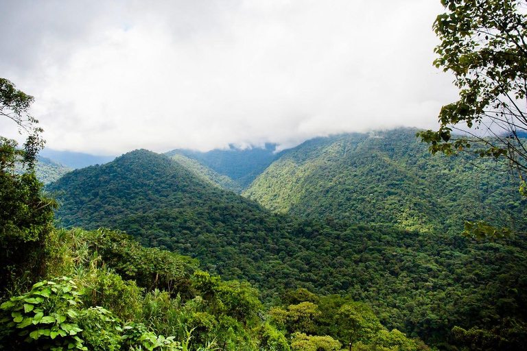 COSTA RICA:UPPTÄCK COSTARICAS VILDA DJUR-STRAND &amp; SKOG 2VECKOR