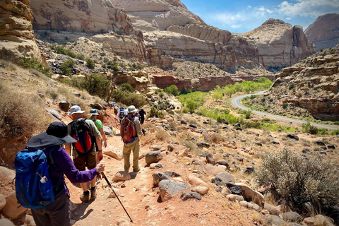 Las Vegas: Campeggio di 3 giorni a Zion, Bryce e Monument Valley