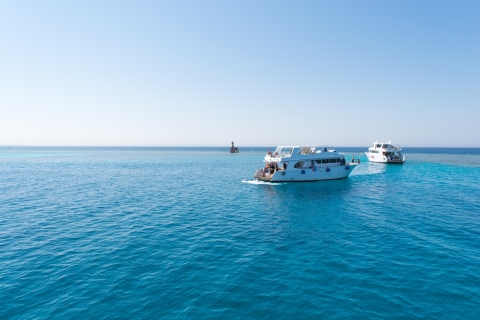 Hurghada : L'île d'Orange et l'observation des dauphins en plongée libre