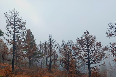 Nuevo Volcán linear route: an exterior and interior view of the volcanoes New Volcano linear route: an exterior and interior view of the volcanoes