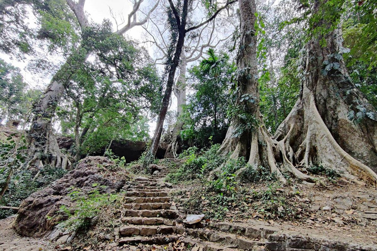 Kochi: Höhlen, Wasserfälle und Aussichtspunkt – TagestourTagestour in der Natur von Kochi: Höhlen, Wasserfälle und Aussichtspunkt