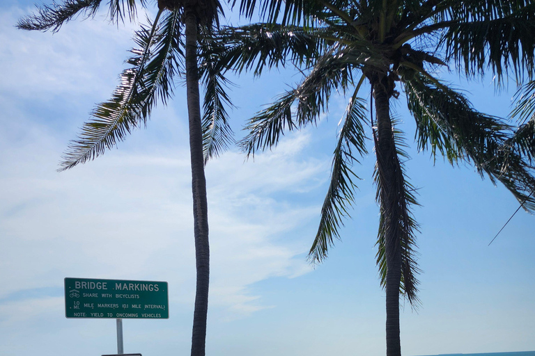 Miami: Small-Group City Tour