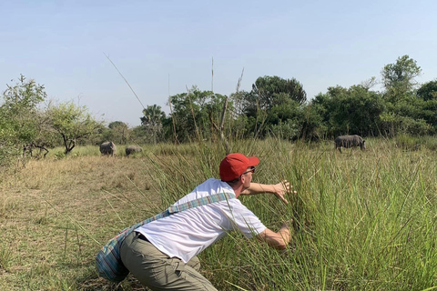 UGANDA SANCTUARY SOJURN: Experimenta a Viagem de Conservação