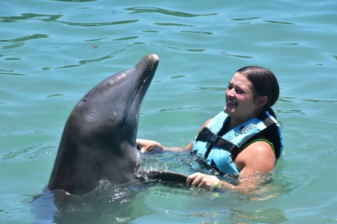 Montego Bay: Swim With The Dolphins Adventure in Lucea Royal Swim With Pickup From Grand Palladium Hotels