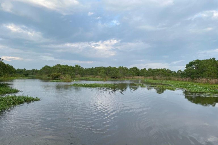 From Galle/Mirissa: Kalametiya Bird Sanctuary Boat Safari Hambantota: Kalametiya Bird Sanctuary Boat Safari-Private