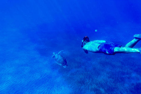 Tenerife: snorkeltocht met lunch en foto's