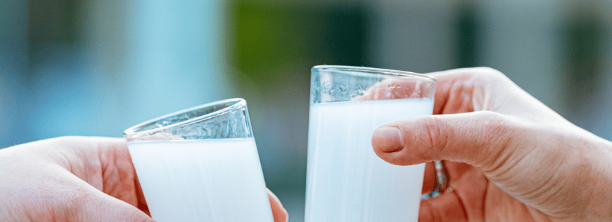 Nauplie : Dégustation de spiritueux grecs