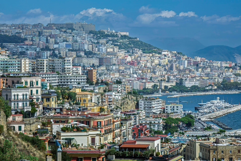 From Naples: Tour of Naples in a day