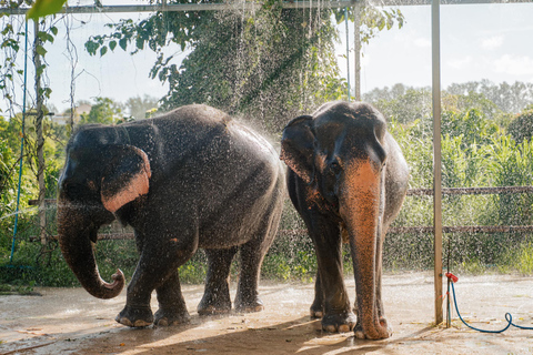 Phuket: Phuket Elephant Care Sanctuary ECO TourHotel pickup in Phuket