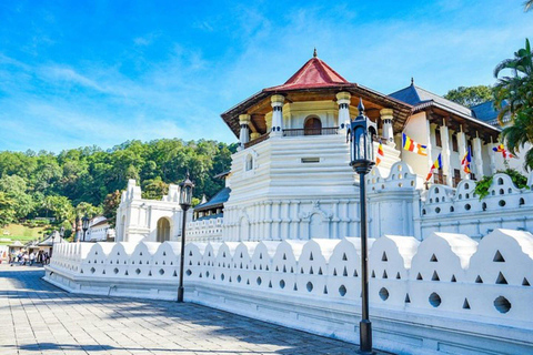 Colombo to Kandy Tea Factory and Temple Private Tour By Car