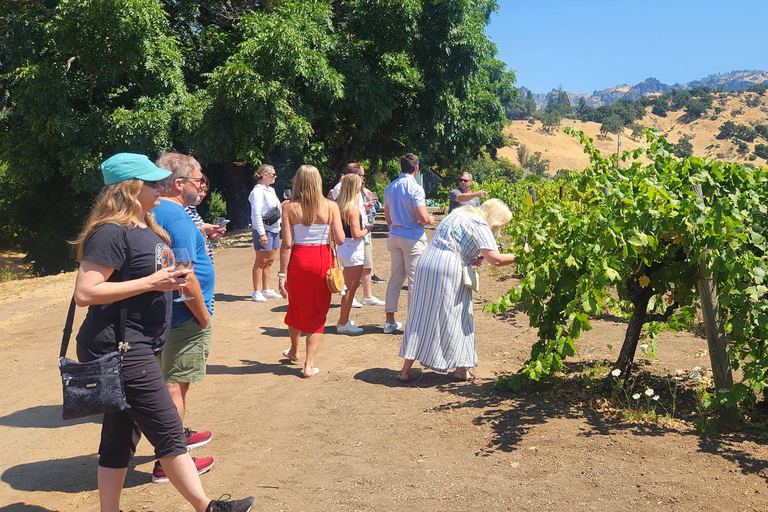 Sonoma Valley: Guided Winery Tour with Picnic Lunch