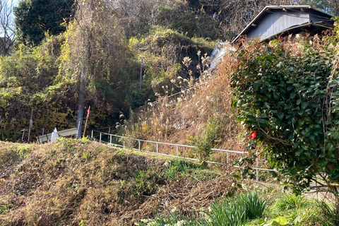 Visiting the former territory of William Adams in Miura
