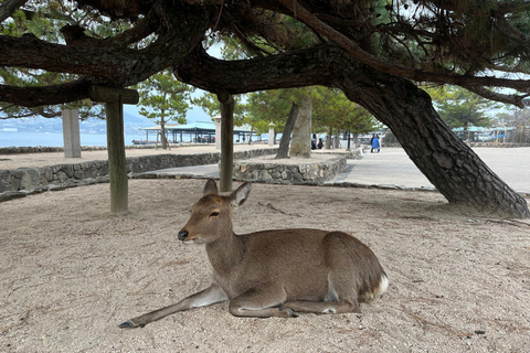 广岛：宫岛与和平公园导览游广岛：宫岛与和平公园导游游