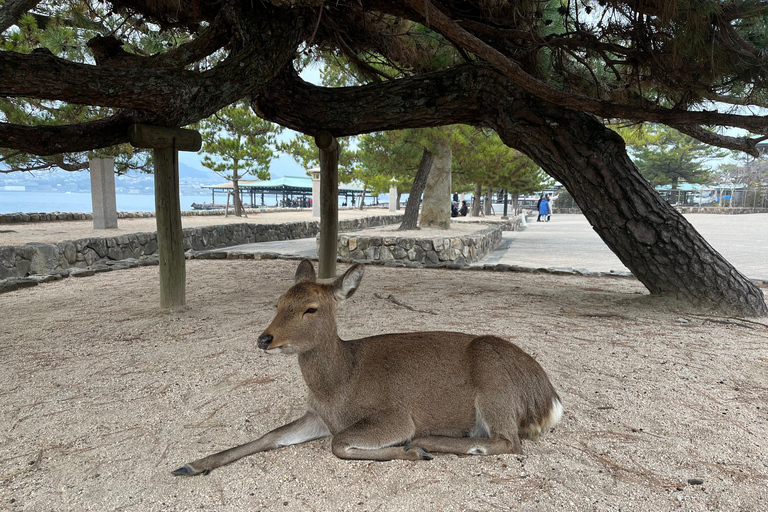 广岛：宫岛与和平公园导览游广岛：宫岛与和平公园导游游