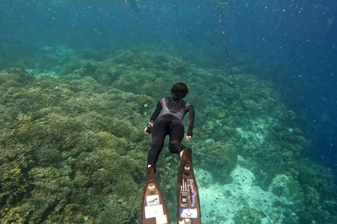 Bohol: Turtle Sanctuary Snorkeling Boat Tour with Lunch