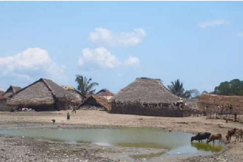 奔巴岛：科贾尼岛与姆纳拉尼遗址之旅