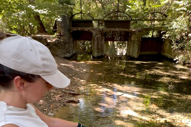 Provence: 2-hour Western horseback riding tour, refreshing break in the river Provence: 2-Hour Western Horseback Riding Tour, Refreshing Break in the River