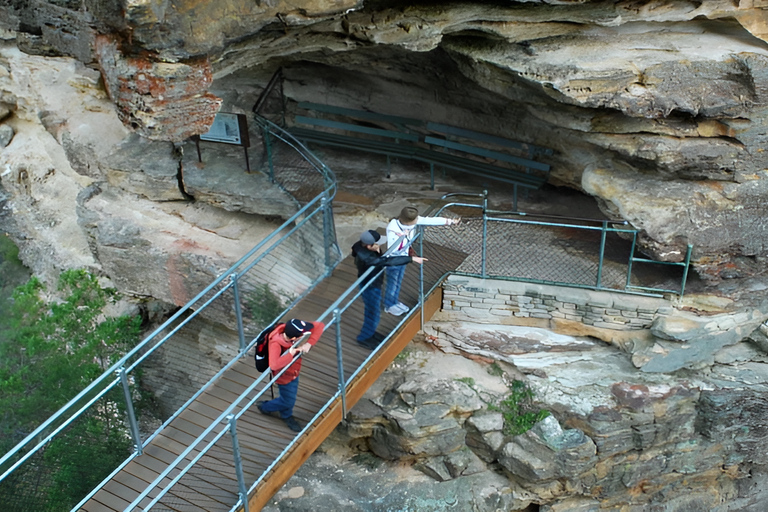 From Sydney: Blue Mountains Private Tour with Wildlife Park