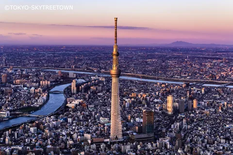Tokyo : visite en bus d'une journée avec Meiji-Jingu, Odaiba, déjeuner&Skytree