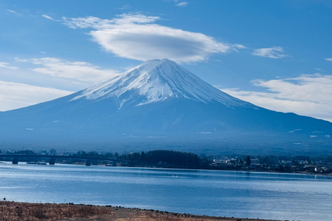 Tokyo: Private Daytrip to Mount Fuji - Fully Customizable Mt Fuji Private Luxury Van Tour (Customizable Experience)