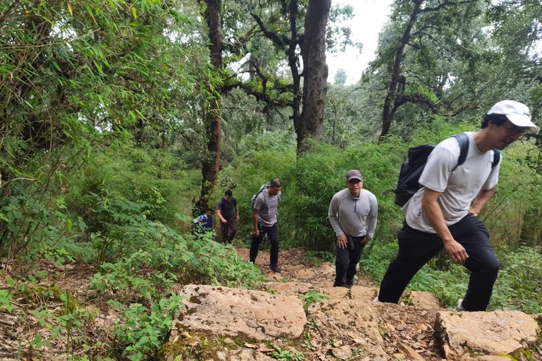 From Kathmandu: Phulchoki Guided Hike with Hotel Pickup