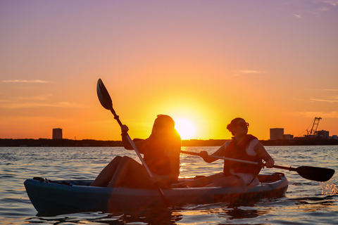 Cancun: kajakavontuur bij zonsopgang