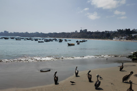 Lima : Excursion privée d'une demi-journée à Pachacamac, Barranco et ChorrillosDe Lima: visite d'une demi-journée de Pachacamac, Barranco et Chorrillos