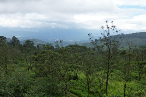 PLATS: Hanthana till Galaha Pekoe Trail Etapp 01 VandringsledPekoe trail treck with Tea Factory visit