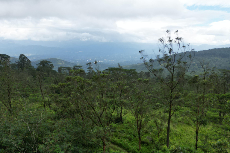 LOCATION: Hanthana to Galaha Pekoe Trail Stage 01 Trek Pekoe Trail Stage 01 -Hanthana to Galaha Tracking