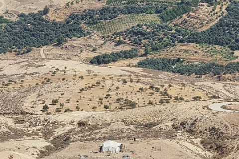 Excursión de un día a Ammán - Madaba - Monte Nebo - Mar Muerto