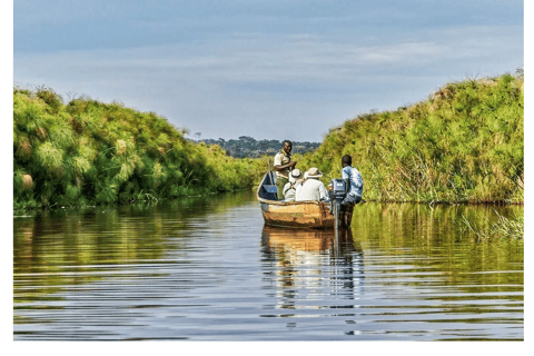 Mabamba Swamp Birding Tour with Shoebill Stork