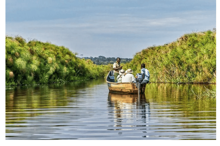Mabamba Swamp Birding Tour with Shoebill Stork