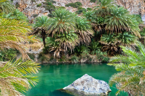 Panormo/Lavris: 1-dniowa wycieczka na plażę Preveli i do wąwozu Kourtaliotis