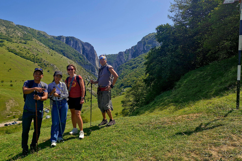 From Cluj: Turda Salt Mine, Gorge, and Remetea Full-Day Trip