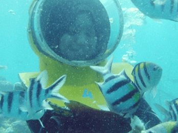 Bali: Havvandring, solo jetski og parasailing med henting