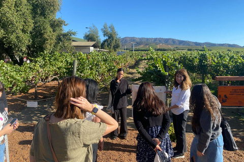 Farellones and Casablanca Valley: Private Mountain Tour and Premium Wines