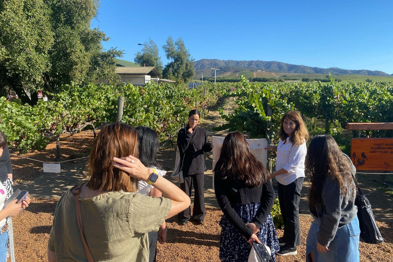 Farellones and Casablanca Valley: Private Mountain Tour and Premium Wines