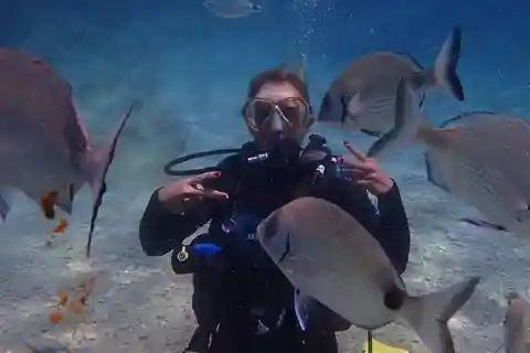 Bodrum Scuba Diving Experince W/ Lunch & Round Trip Transfer