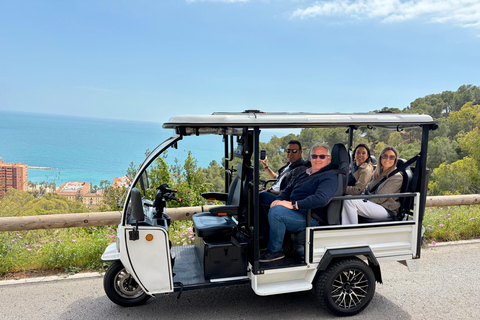Málaga: Private Tuk Tuk Sightseeing Tour of the City and Gibralfaro