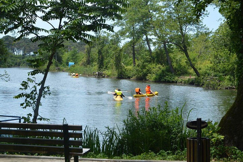 From Batumi: Georgian Amazon & Kolkheti Park Tour