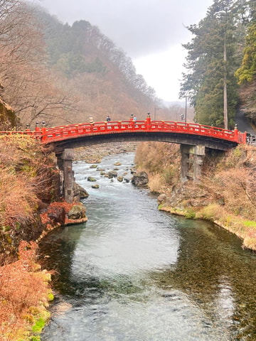 Tokyo: Nikko Day Tour with Private Vehicle and Guide